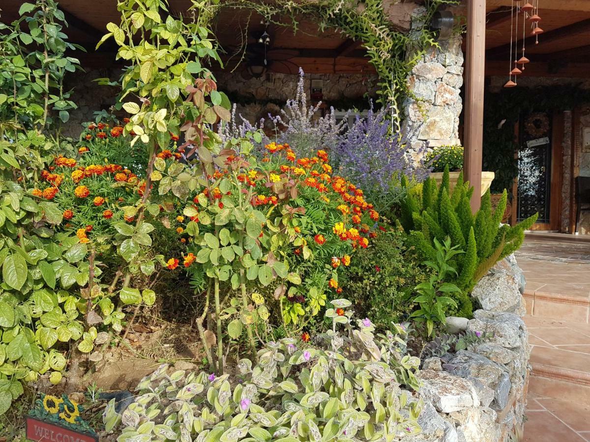 Nadia'S Traditional Greek House Anavyssos Exterior foto